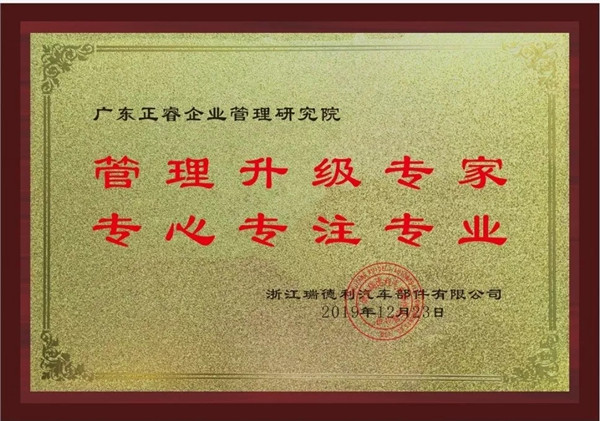 蔡總代表瑞德利公司授予正睿咨詢牌匾 蔡總代表瑞德利公司授予正睿咨詢牌匾