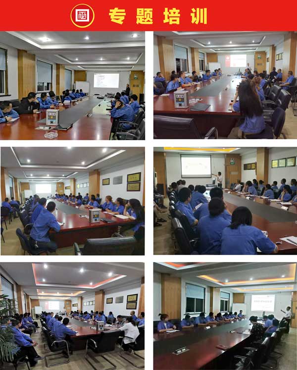 金禾成一期管理升級項目正式啟動 金禾成一期管理升級項目正式啟動