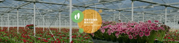 深圳市朗文科技實業有限公司 深圳市朗文科技實業有限公司