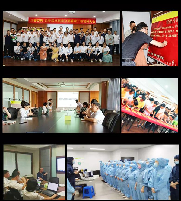 貝普醫療科技股份有限公司全面管理升級項目圓滿成功 貝普醫療科技股份有限公司全面管理升級項目圓滿成功