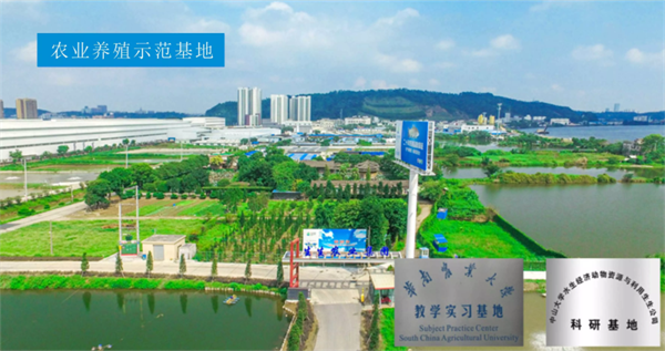 生生農業(yè)集團股份有限公司戰(zhàn)略梳理&組織規(guī)劃項目啟動 生生農業(yè)集團股份有限公司戰(zhàn)略梳理&組織規(guī)劃項目啟動