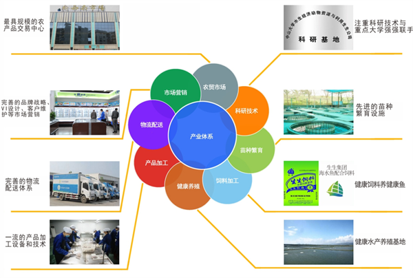 生生農業(yè)集團股份有限公司戰(zhàn)略梳理&組織規(guī)劃項目啟動 生生農業(yè)集團股份有限公司戰(zhàn)略梳理&組織規(guī)劃項目啟動