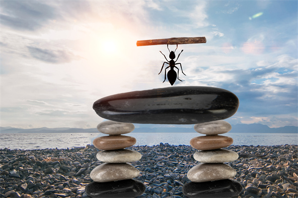 企業文化要落地 企業文化要落地