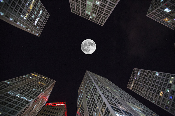 「營(yíng)銷(xiāo)管理咨詢(xún)」解鎖社交媒體的力量，讓品牌騰飛！