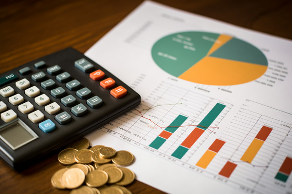 強化集團管控：財務，人力資源，信息技術(shù)的整合