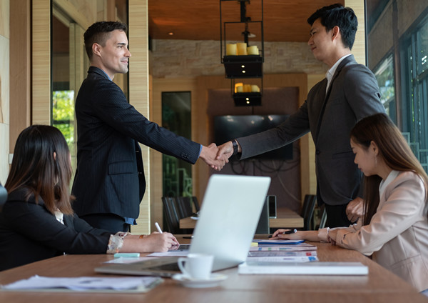 集團管控：建立風險防范機制，確保企業穩健發展