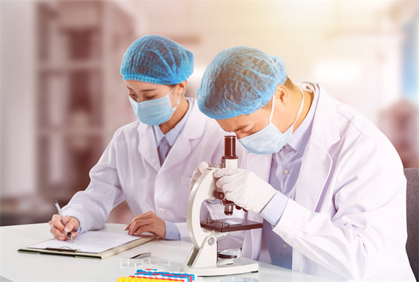 精細化組織規劃:推動企業持續發展的關鍵要素 精細化組織規劃:推動企業持續發展的關鍵要素