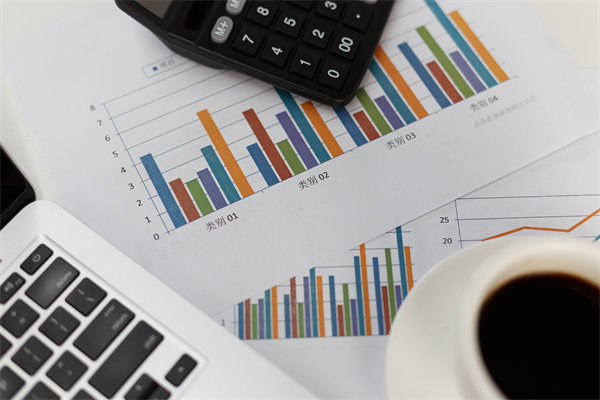 預算管理信息化建設:提升管理效率,降低管理成本 預算管理信息化建設:提升管理效率,降低管理成本