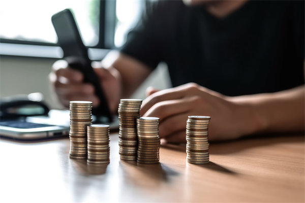 企業(yè)預(yù)算管理中,如何平衡成本控制與業(yè)務(wù)增長(zhǎng)需求? 企業(yè)預(yù)算管理中,如何平衡成本控制與業(yè)務(wù)增長(zhǎng)需求?