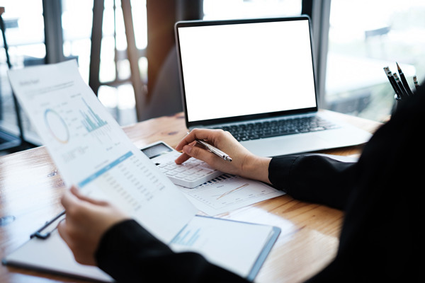 預算監(jiān)控與調整機制如何建立，確保預算執(zhí)行到位？