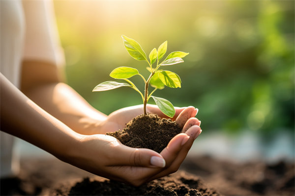 可持續(xù)發(fā)展成為趨勢，企業(yè)如何融入綠色戰(zhàn)略以促增長？