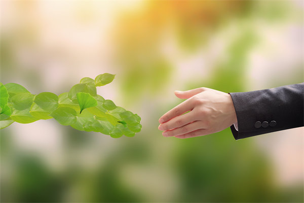 可持續發展成為趨勢，企業如何融入綠色戰略以促增長？