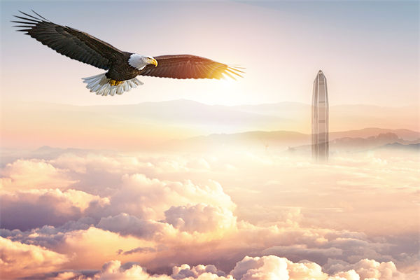 企業(yè)文化與企業(yè)管理如何協(xié)同，推動(dòng)企業(yè)持續(xù)發(fā)展？