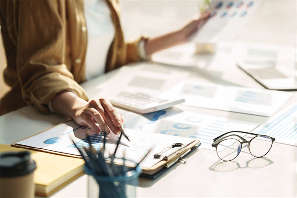 在預算執行中，如何確保監控與調整機制的有效性？