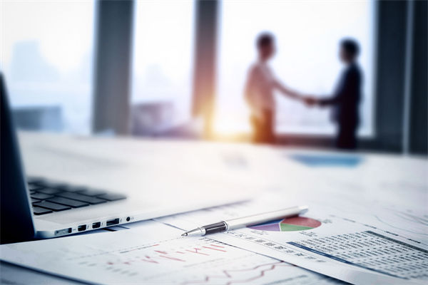 在預算執行中，如何確保監控與調整機制的有效性？