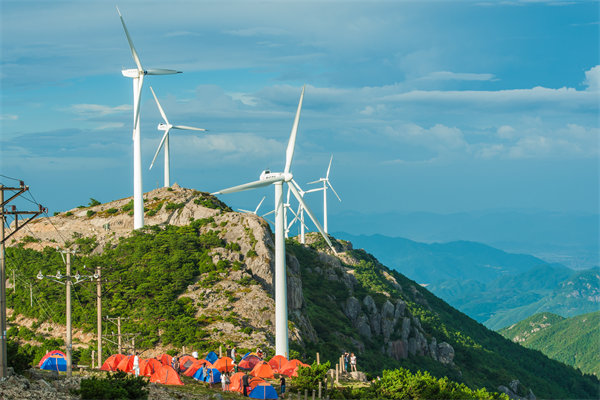 臺州組織規劃咨詢公司如何設計高效企業組織架構？