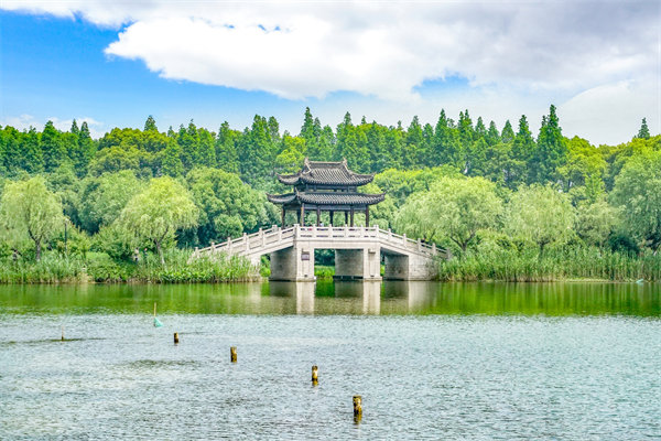 常州組織規劃咨詢公司如何設計高效組織架構？