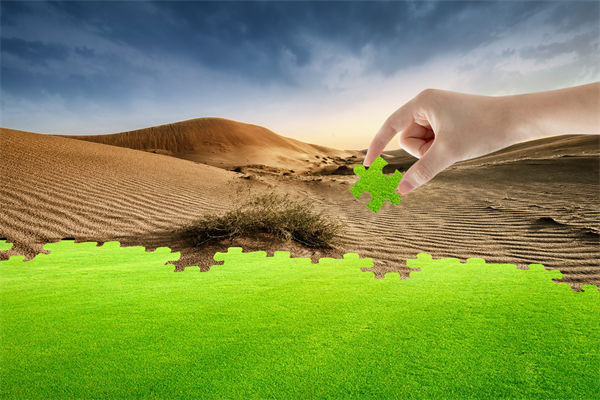 企業深陷困境，管理咨詢如何以雷霆手段打破發展僵局？