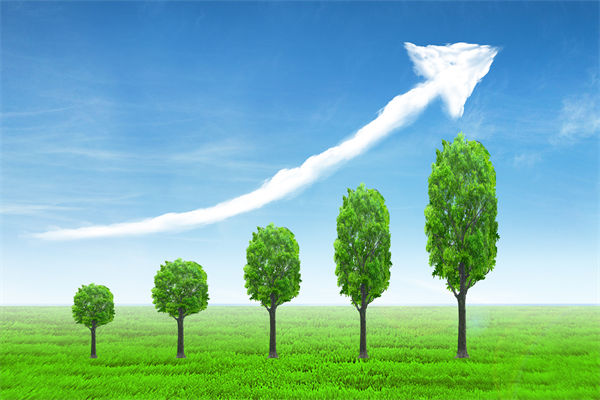 植樹就是植未來，對企業的戰略規劃有哪些啟示？