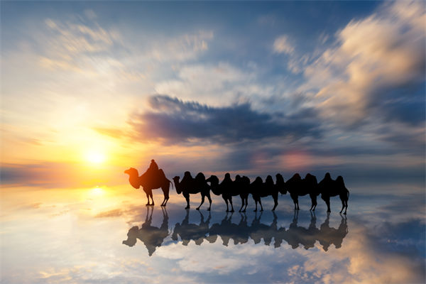 戰(zhàn)略與文化脫節(jié)，企業(yè)理念如何落地支撐發(fā)展？