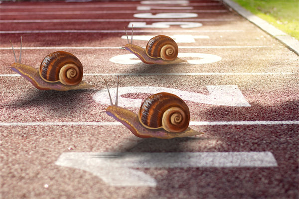 新業(yè)務(wù)拓展艱難，年度經(jīng)營計(jì)劃為其定制專屬發(fā)展路徑