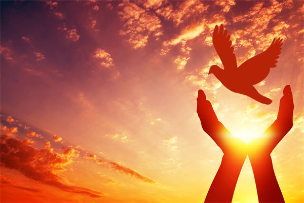 別讓盲卡盲盒“收割”孩子，關聯企業戰略怎么看？