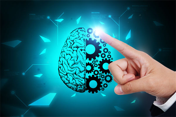 人力資源管理流程規(guī)范嚴(yán)謹(jǐn)，員工創(chuàng)造力為何反而受抑制？