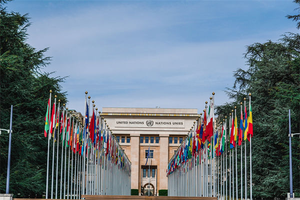 英法等25國(guó)發(fā)表聯(lián)合聲明，企業(yè)組織規(guī)劃有何啟示？