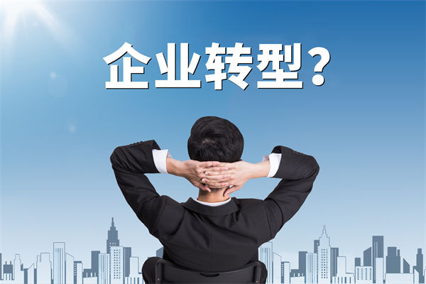 企業(yè)轉(zhuǎn)型無方向，數(shù)智化咨詢公司能否指引明路？