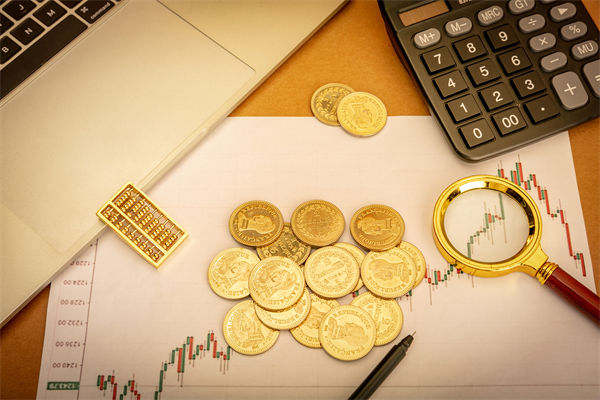 企業預算管理分析:數千元滑雪裝備一公司報關幾百元 企業預算管理分析:數千元滑雪裝備一公司報關幾百元