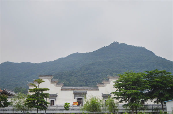 子公司各自為戰內耗大，佛山集團管控咨詢公司有何整合之道？