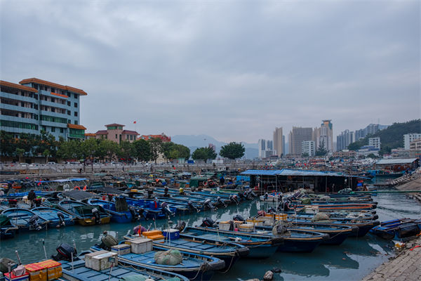 精益生產分析：開海第一網撈8000斤，船長合不攏嘴