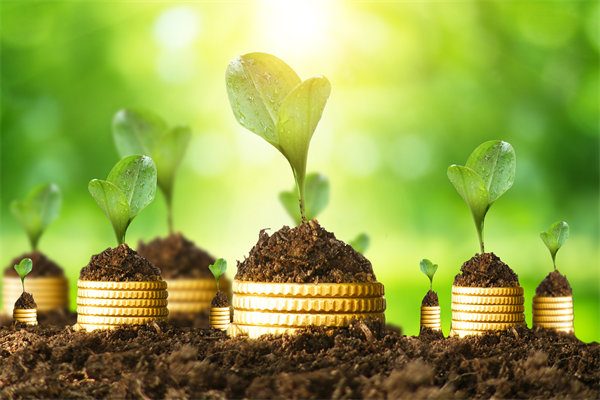 預算管理咨詢公司如何幫助企業破解資金錯配問題? 預算管理咨詢公司如何幫助企業破解資金錯配問題?