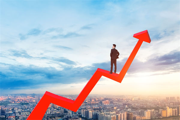 績(jī)效管理咨詢公司，能幫企業(yè)建立以結(jié)果為導(dǎo)向的體系嗎？