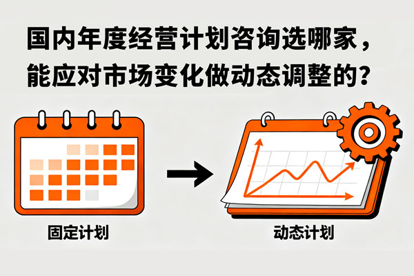 國內年度經營計劃咨詢選哪家，能應對市場變化做動態調整的？
