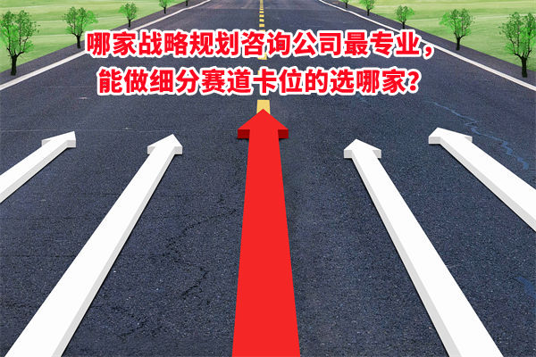 哪家戰略規劃咨詢公司最專業，能做細分賽道卡位的選哪家？